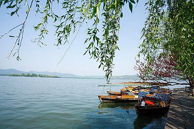 《杀手》开发商打造未公布IP 或是中世纪幻想网游